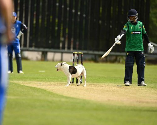 Tuesday 23rd May 2023
North West Warriors v Leinster Lightning in the Rario Inter-Provincial Cup at Bready Cricket Club, Magheramason Co Derry
Picture Credit Oliver McVeigh